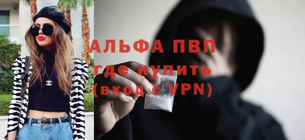 индика Алексин