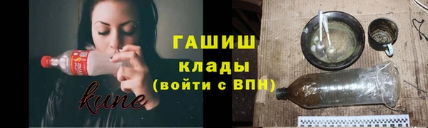 индика Алексин