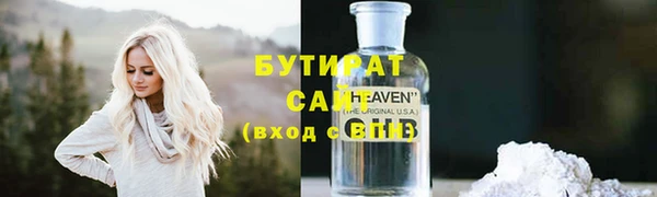 индика Алексин