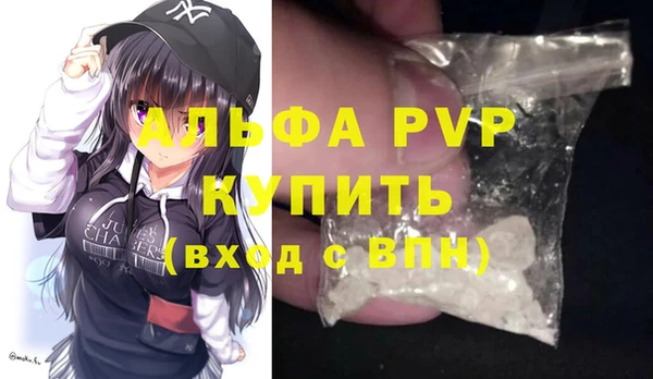 индика Алексин
